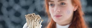 Psilocybin assisted therapy
